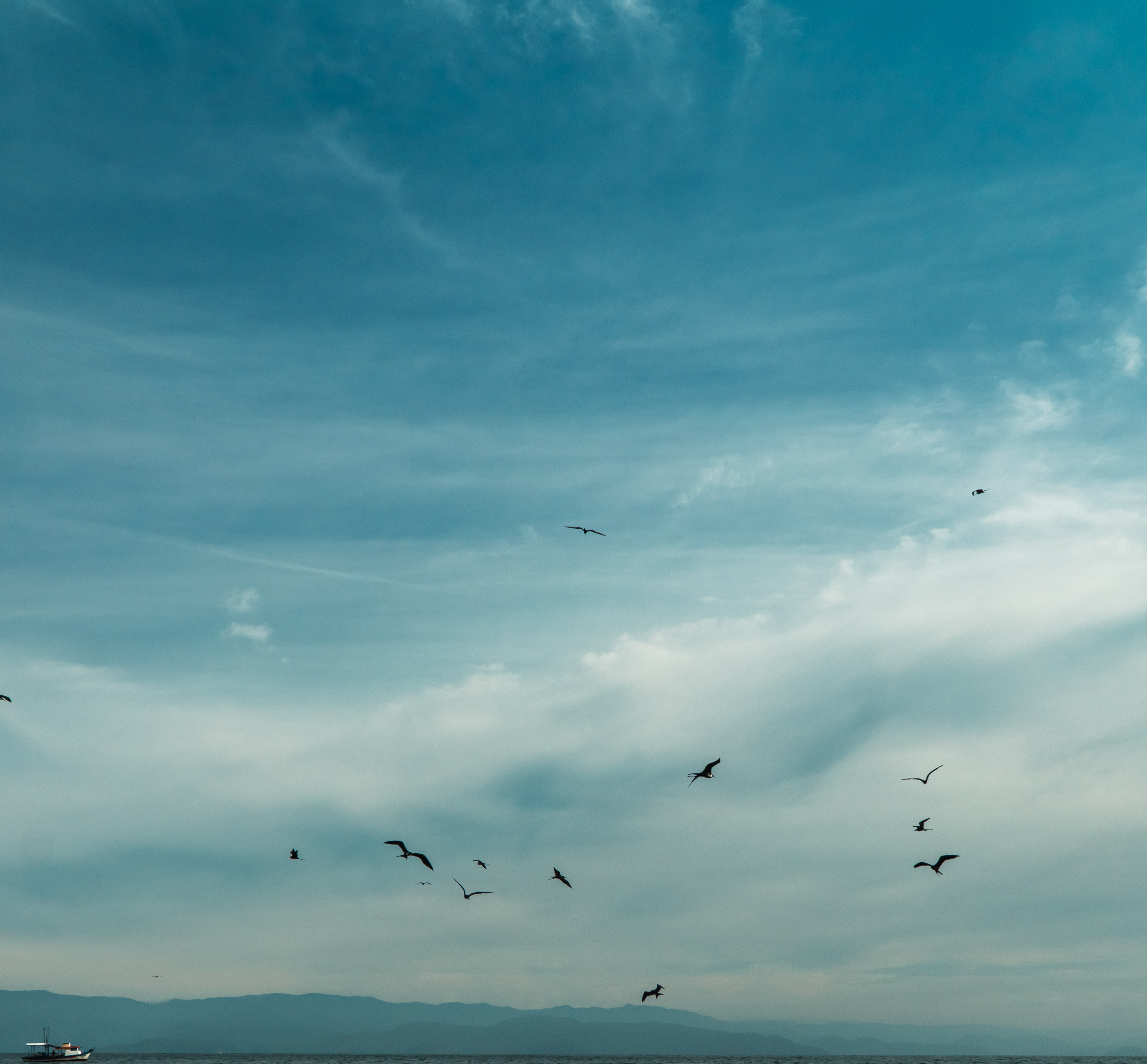 Veios de madeira iluminados pela primeira luz